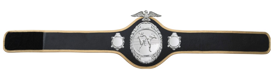 THAI BOXING CHAMPIONSHIP BELT - PRO288/S/TBOS - 10 COLOURS THAI BOXING CHAMPIONSHIP BELT - PRO288/S/TBOS - 10 COLOURS